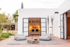 STIL, Montagu